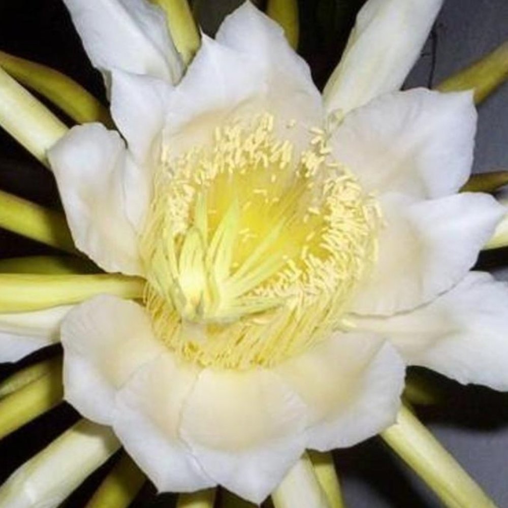 Selling from my closet!